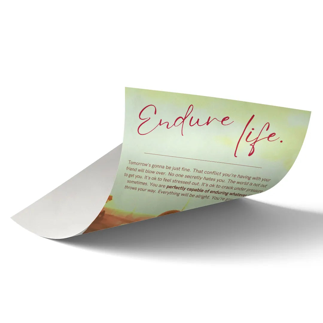 Endure Life art poster 2