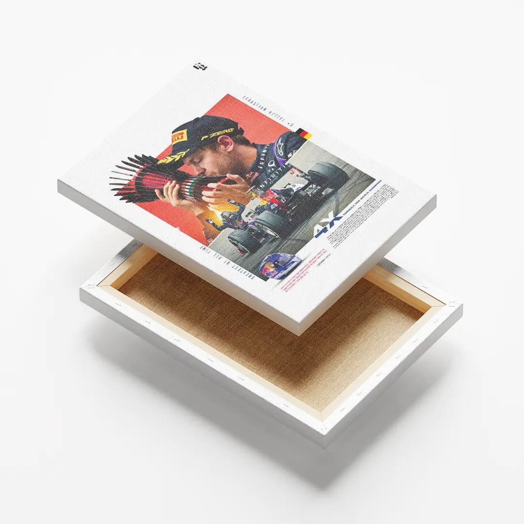 Sebastian Vettal canvas 6