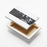 Summer canvas 6