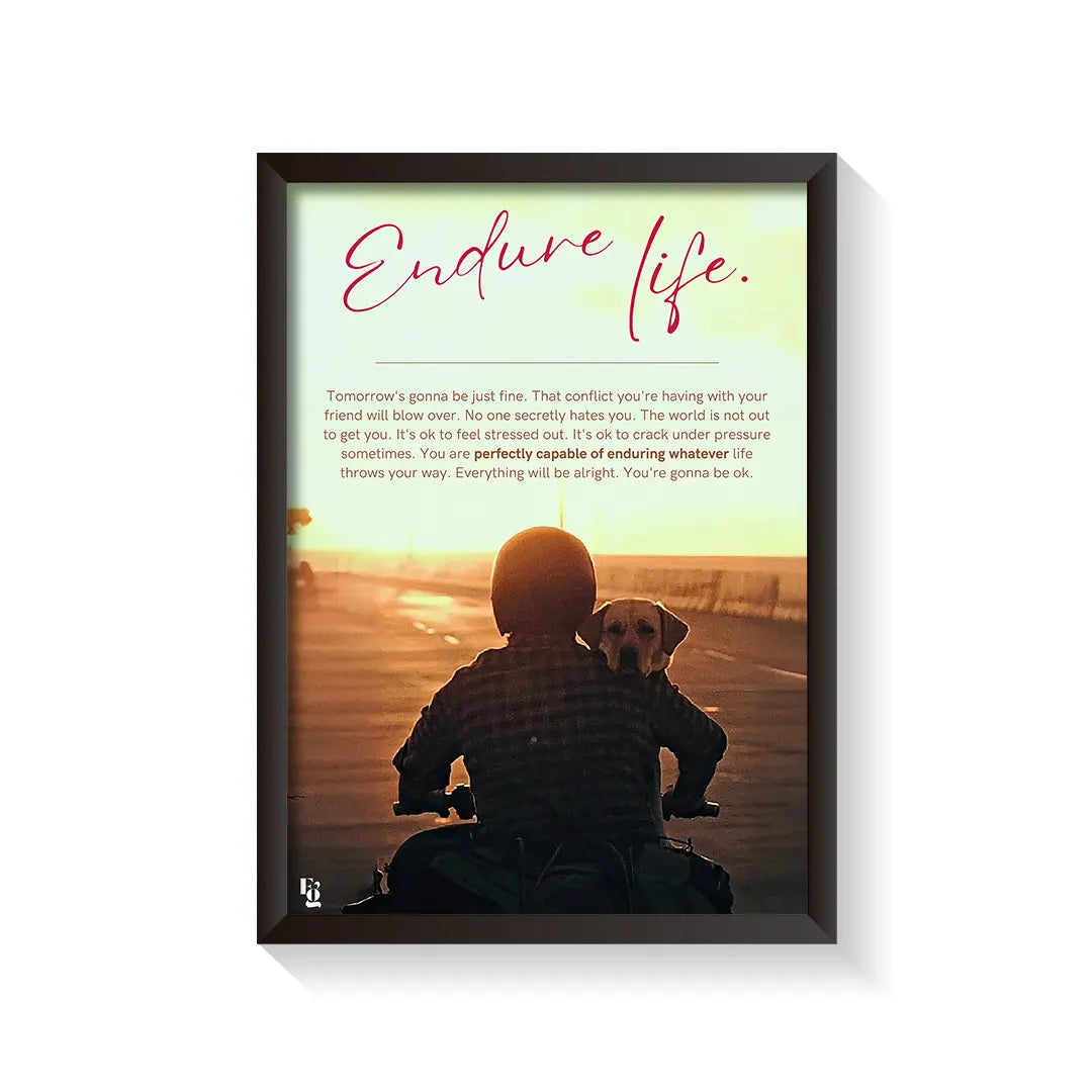 Endure Life frame black