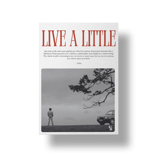Live A Little art poster 1