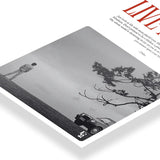 Live A Little art poster 3